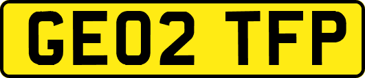 GE02TFP