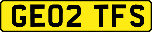 GE02TFS