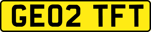 GE02TFT