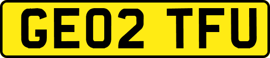 GE02TFU
