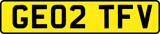 GE02TFV