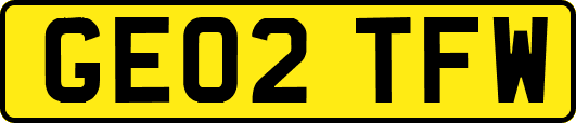 GE02TFW