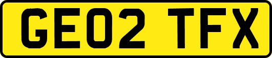 GE02TFX