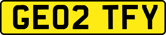 GE02TFY