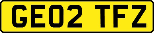GE02TFZ