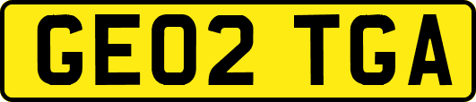 GE02TGA