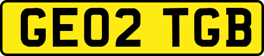 GE02TGB