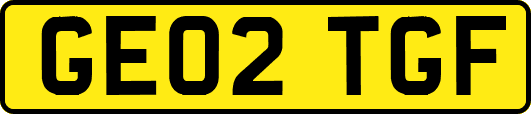 GE02TGF