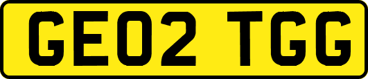 GE02TGG