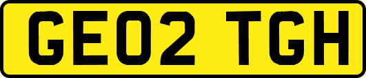 GE02TGH