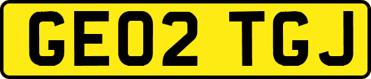 GE02TGJ