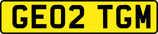 GE02TGM