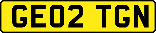 GE02TGN