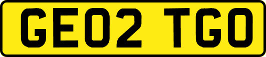 GE02TGO