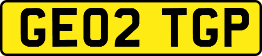 GE02TGP