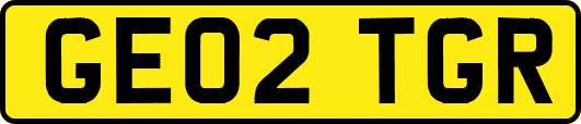GE02TGR