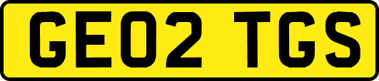 GE02TGS