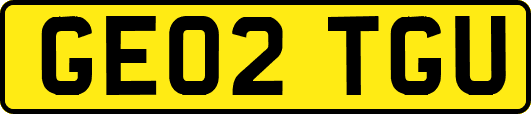 GE02TGU