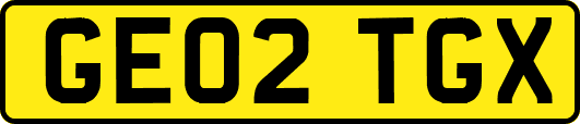 GE02TGX