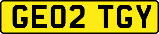 GE02TGY
