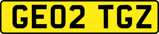 GE02TGZ