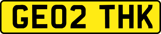 GE02THK