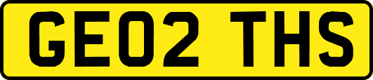 GE02THS