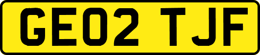 GE02TJF