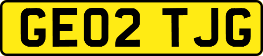 GE02TJG