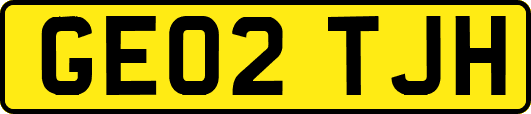 GE02TJH