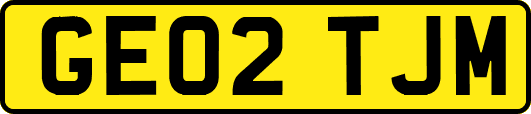 GE02TJM