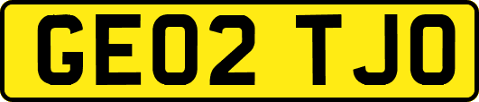 GE02TJO