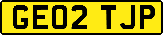 GE02TJP