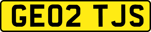 GE02TJS