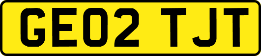 GE02TJT