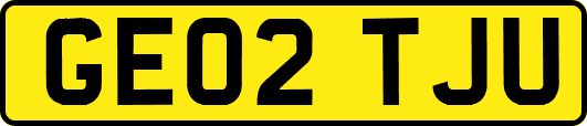 GE02TJU
