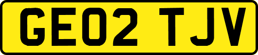GE02TJV