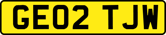 GE02TJW