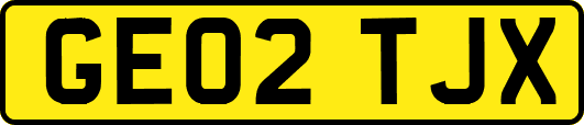 GE02TJX