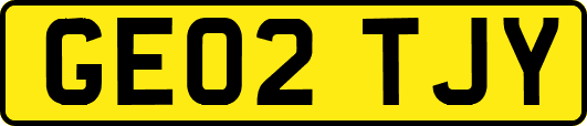 GE02TJY