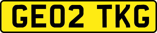 GE02TKG