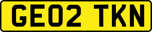 GE02TKN