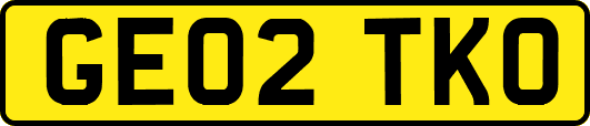 GE02TKO