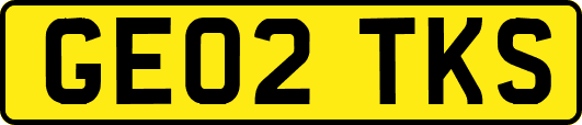 GE02TKS