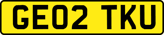 GE02TKU