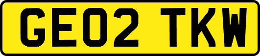 GE02TKW