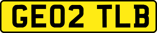 GE02TLB