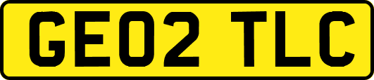 GE02TLC