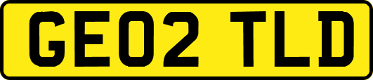 GE02TLD