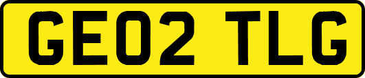 GE02TLG